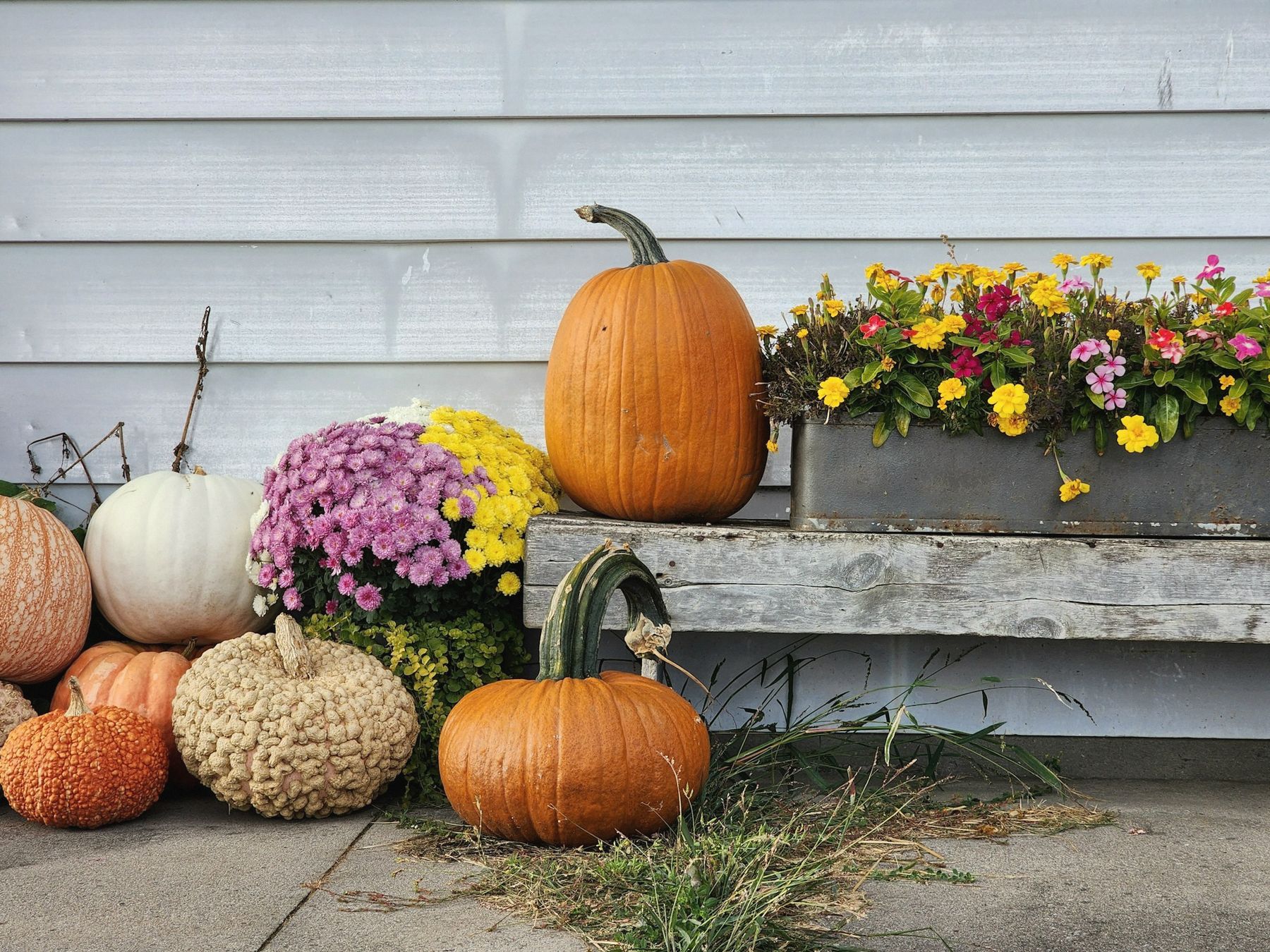 Pumpkins, gourds and a window box of fall flowers on a porch bench