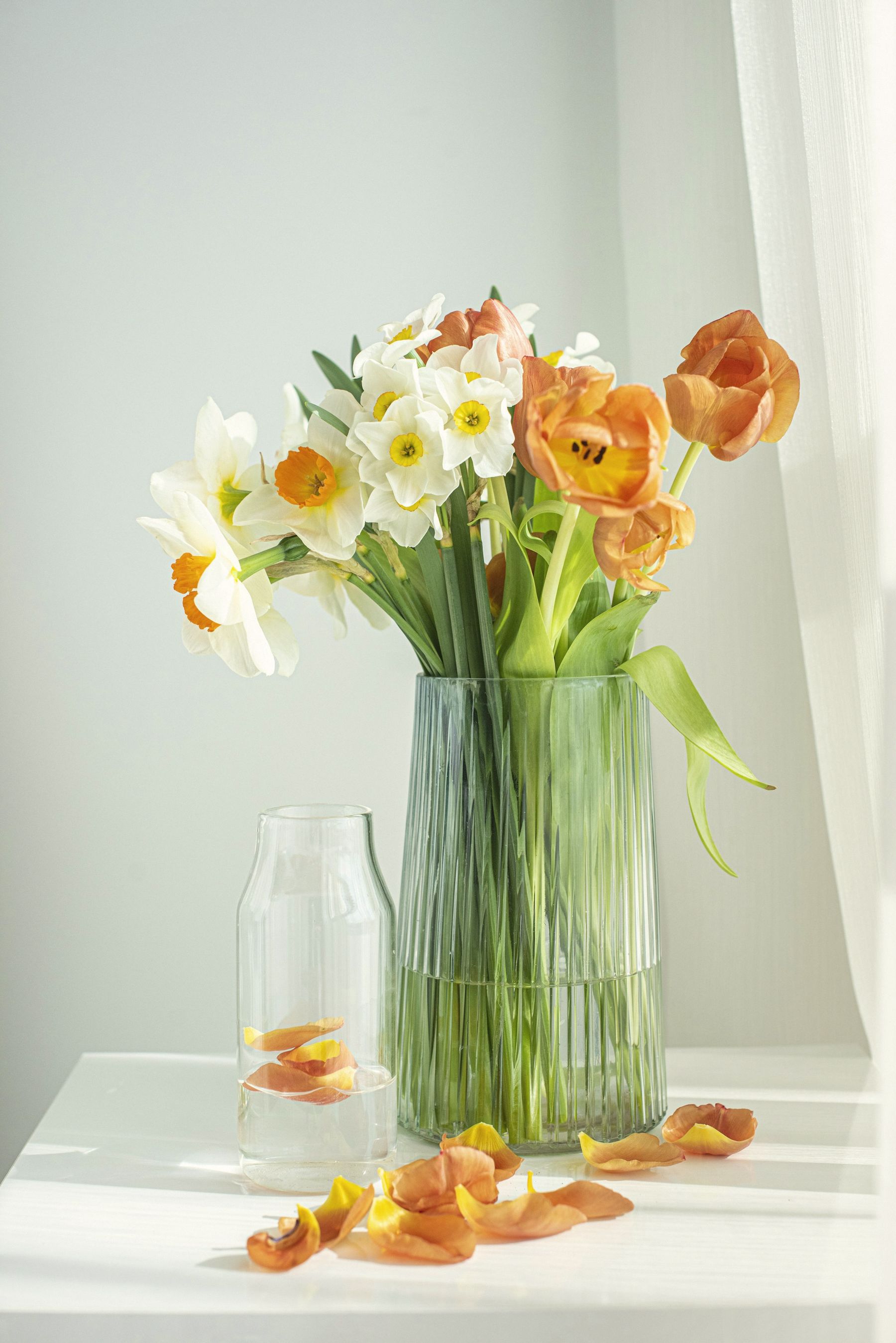 Daffodils and tulips in a glass vase by a bright window